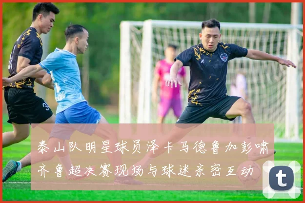 泰山队明星球员泽卡马德鲁加彭啸齐鲁超决赛现场与球迷亲密互动