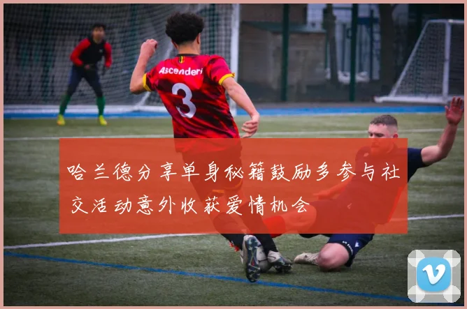 哈兰德分享单身秘籍鼓励多参与社交活动意外收获爱情机会