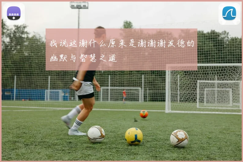我说这谢什么原来是谢谢谢泼德的幽默与智慧之道