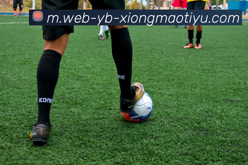 多媒体互动体验