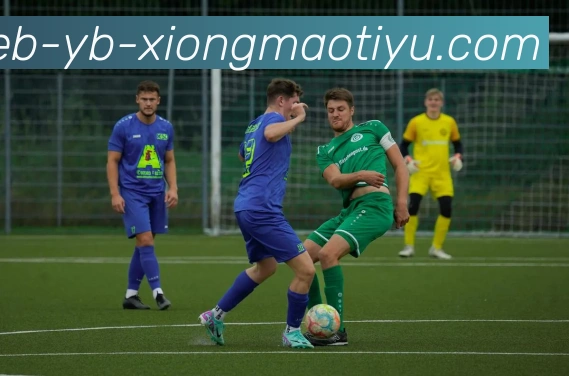 熊猫体育APP 高清赛事图